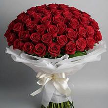 Букет 101 Красная роза Блэк Мэджик #REPLACE_PRED# Бутурлиновке