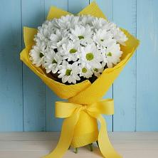 Букет цветов из:  Хризантемы в Бутурлиновке