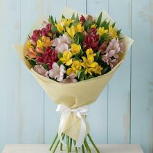 Букет цветов из:  Альстромерии в Бутурлиновке