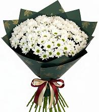 Букет цветов из:  Хризантемы в Бутурлиновке