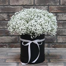 Цветочная композиция из Гипсофила в шляпной коробке в Бутурлиновке